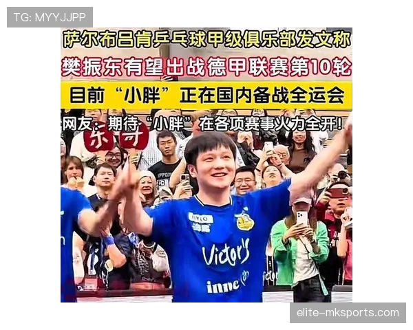 德甲球队新签约引发关注，阵容实力持续提升分析