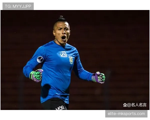 巴西足球甲级联赛射手榜最新排名